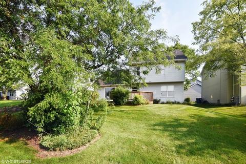 285 Windsor Dr, Bartlett, IL 60103 photo 20