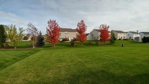 657 Biltmore Dr, Bartlett, IL 60103 photo 16
