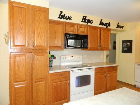 1020 W Firestone Dr, Hoffman Estates, IL 60192 photo 5