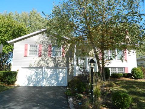 1020 W Firestone Dr, Hoffman Estates, IL 60192 photo 1