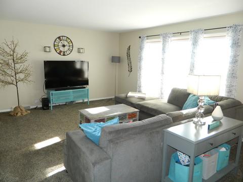 1020 W Firestone Dr, Hoffman Estates, IL 60192 photo 3