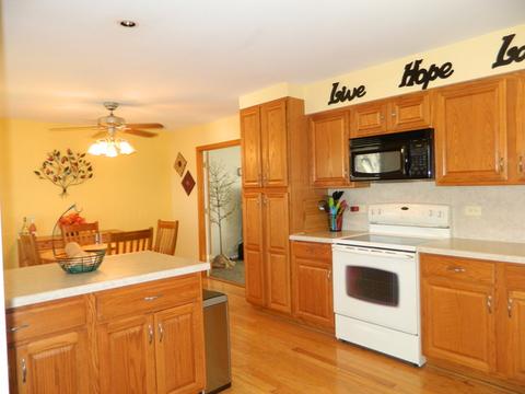 1020 W Firestone Dr, Hoffman Estates, IL 60192 photo 4