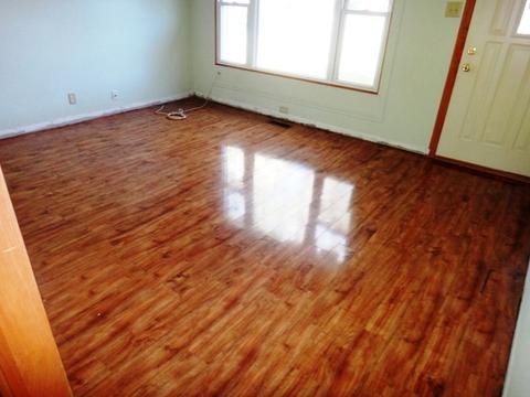3766 Emerald Ave, Steger, IL 60475 photo 3
