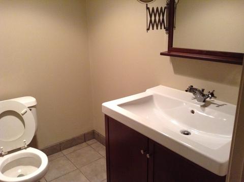 14934 Hamlin Ave, Midlothian, IL 60445 photo 8