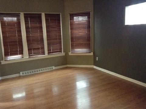 14934 Hamlin Ave, Midlothian, IL 60445 photo 2