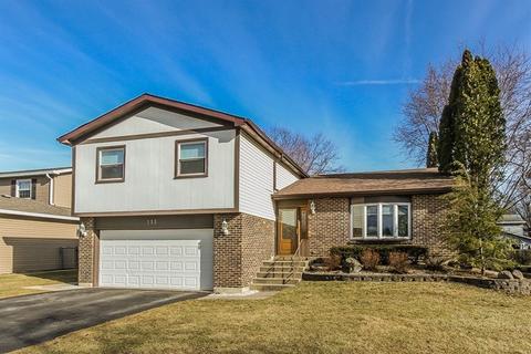 111 S Elroy Ave, Bartlett, IL 60103 photo 1