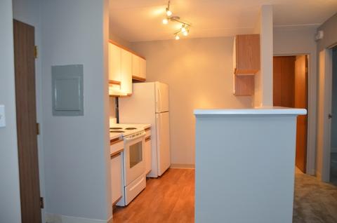 5600 Astor Ln #213, Rolling Meadows, IL 60008 photo 7