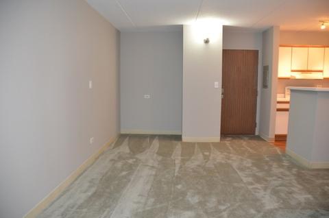 5600 Astor Ln #213, Rolling Meadows, IL 60008 photo 4