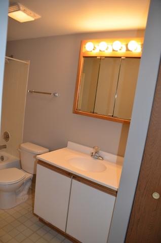 5600 Astor Ln #213, Rolling Meadows, IL 60008 photo 11
