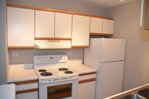 5600 Astor Ln #213, Rolling Meadows, IL 60008 photo 5