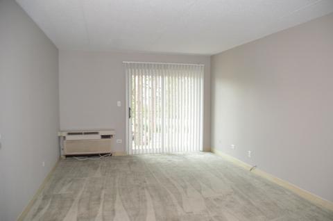 5600 Astor Ln #213, Rolling Meadows, IL 60008 photo 3