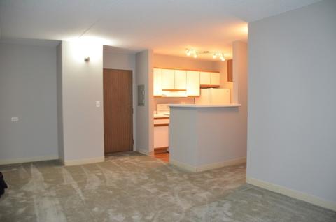 5600 Astor Ln #213, Rolling Meadows, IL 60008 photo 6