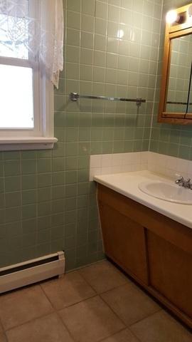 209 Elm St, Spring Valley, IL 61362 photo 27