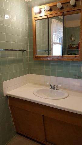 209 Elm St, Spring Valley, IL 61362 photo 26