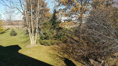 644 Mallard Ct #B2, Bartlett, IL 60103 photo 8