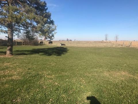14537 Melms Rd, Genoa, IL 60135 photo 3