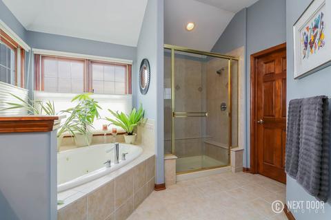 26309 W Milestone Dr, Plainfield, IL 60585 photo 36