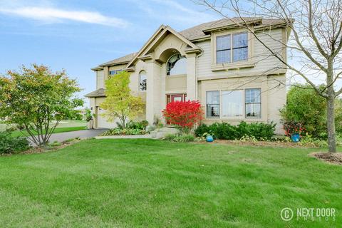 26309 W Milestone Dr, Plainfield, IL 60585 photo 38
