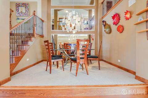 26309 W Milestone Dr, Plainfield, IL 60585 photo 11