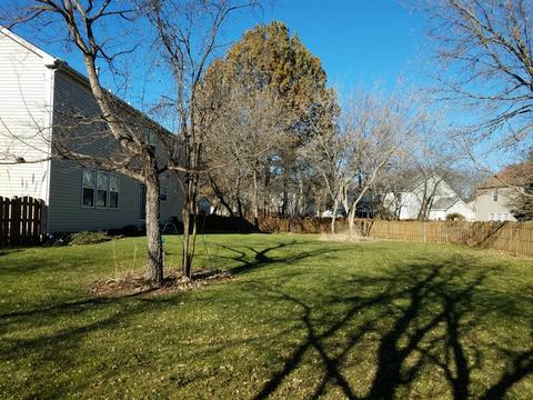 5 Portsmith Ct, Algonquin, IL 60102 photo 3