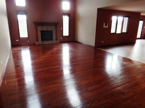 4505 203rd St, Matteson, IL 60443 photo 10