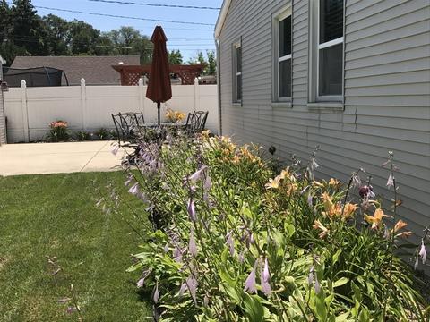 1225 Earl Ave, Des Plaines, IL 60018 photo 25