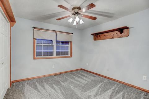 103 W Kyle St, Ogden, IL 61859 photo 19