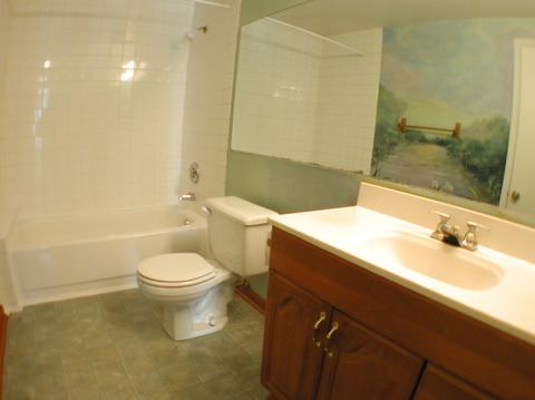 1969 Cheltenham Pl, Hoffman Estates, IL 60169 photo 18