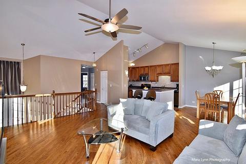 1969 Osprey Ct #22-3, Bartlett, IL 60103 photo 6