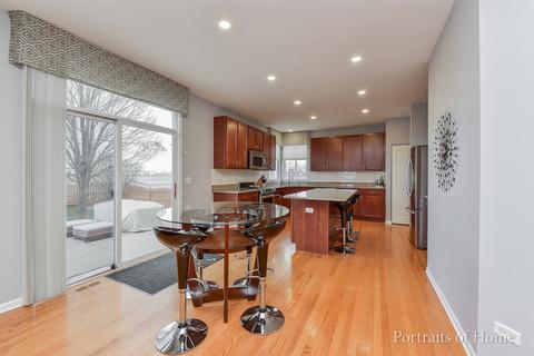 14739 Independence Dr, Plainfield, IL 60544 photo 9