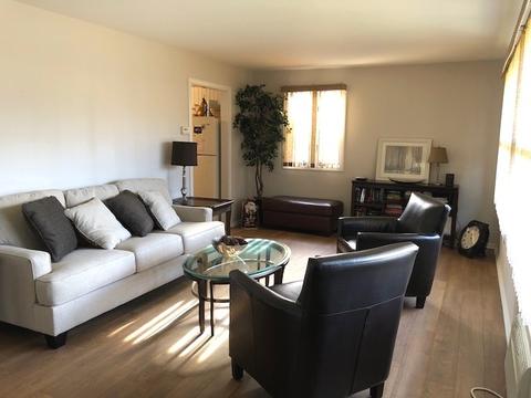 983 S 6th Ave, Des Plaines, IL 60016 photo 11