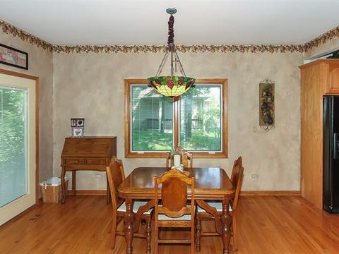 226 S Devon Ave, Bartlett, IL 60103 photo 11