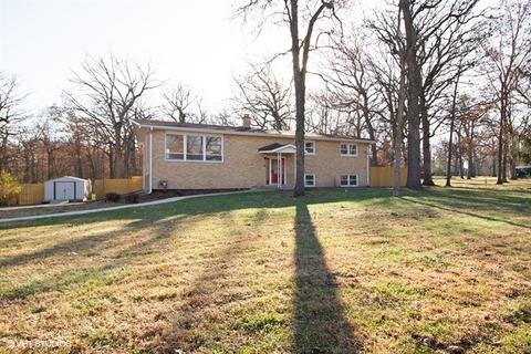 22743 Lahon Rd, Steger, IL 60475 photo 23