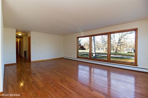 22743 Lahon Rd, Steger, IL 60475 photo 3