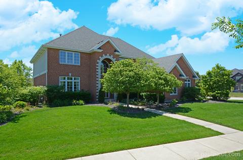 7641 Pineview Ct, Frankfort, IL 60423 photo 1