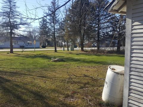 745 N 39th Rd, Triumph, IL 61371 photo 3