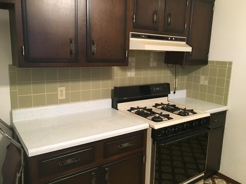 314 Prospect Ave, Dwight, IL 60420 photo 9