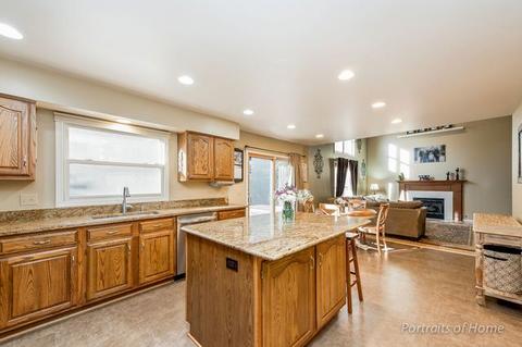 1110 Deep Woods Dr, Elgin, IL 60120 photo 7