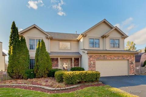 1110 Deep Woods Dr, Elgin, IL 60120 photo 1