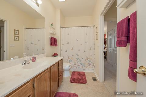 21416 W Juniper Ln, Plainfield, IL 60544 photo 11
