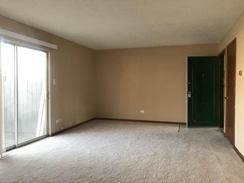 1119 S Curtis Ave #D37, Kankakee, IL 60901 photo 9