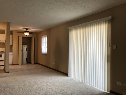 1119 S Curtis Ave #D37, Kankakee, IL 60901 photo 3