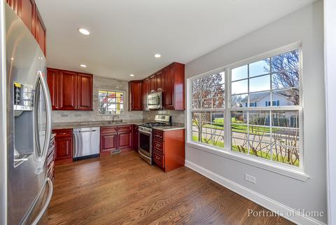 515 W 2nd St, Elmhurst, IL 60126 photo 4