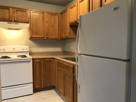 1119 S Curtis Ave #A4, Kankakee, IL 60901 photo 8