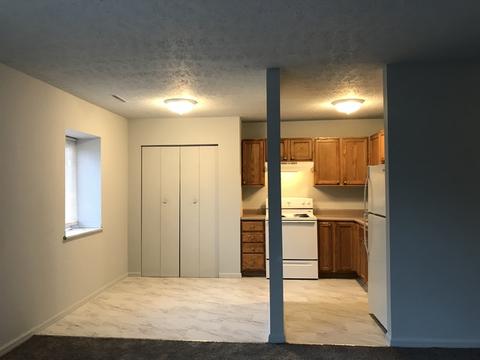 1119 S Curtis Ave #A4, Kankakee, IL 60901 photo 5