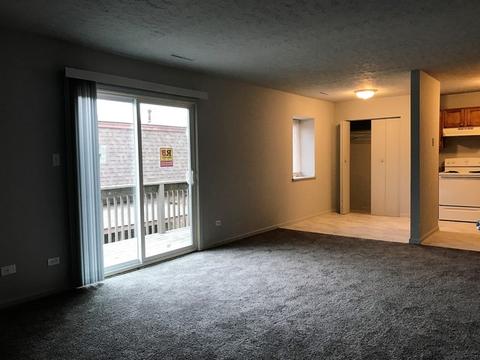 1119 S Curtis Ave #A4, Kankakee, IL 60901 photo 4