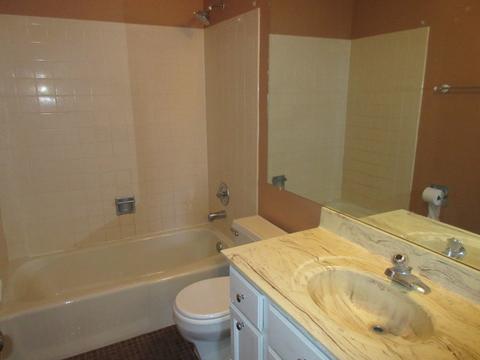 312 Oakbrook Ct, Bartlett, IL 60103 photo 12
