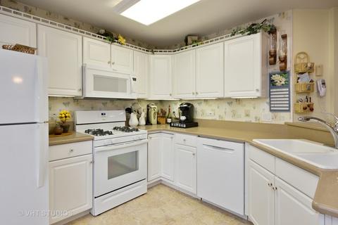 21527 W Larch Dr, Plainfield, IL 60544 photo 3