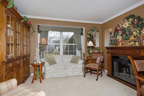 21527 W Larch Dr, Plainfield, IL 60544 photo 9