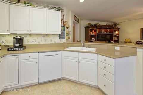 21527 W Larch Dr, Plainfield, IL 60544 photo 4